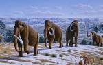 File:WOOLLY MAMMOTH (Mammuthus primigenius) - Mauricio Antón.jpg ...