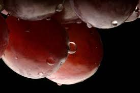 images?q=tbn:ANd9GcS3VysDDSM_kMDowiynwCJfBd638JJdHa_NsiJBgniDdPZ0A0CZ