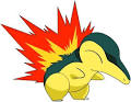 Image of Fire type (Pokémon) (Cyndaquil) - Anime Vice
