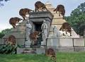 Raccoons Run Rampant at Green-Wood Cemetery: Gothamist