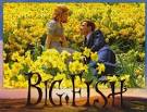 Raging Ruff Reviews: Hidden-Review-of-the-Day! Big Fish, Hook ...