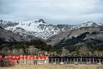 Germanwings plane crash: Co-pilot hid medical condition from.
