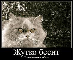 [Image: images?q=tbn:ANd9GcS3xkc6-C0kr9MCWydkZWF...FweLoqk5Zg]