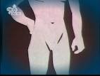 Chinastar1_Guide-of-Gestation.jpg