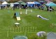 Dog agility - Wikipedia, the free encyclopedia