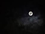Moonlight