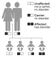 Genetics of Enlarged Vestibular Aqueducts (