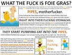 WTF is Foie Gras? | Blog | peta2.