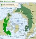 Boreal Forest Biome - Animals, Plants, Ecosystem | NRDC