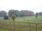 RDA Pembroke Centre and Ponies. Wilton has one of the largest Riding for the - via Daymix