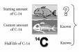 Doesn't Carbon-14 Dating Disprove the Bible? - Answers in Genesis