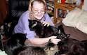 Confessions: Animal Hoarding : Animal Planet
