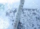 Down to -50C: Russians freeze to death as strongest-in-decades ...