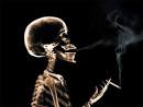 Harmful Effects Of Marijuana On Teenagers | 420dating.
