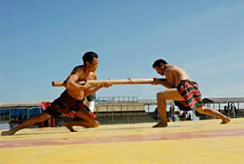 Image result for indian sports