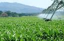  Ethanol Subsidies | Consumer Energy Report