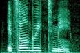 Human voice - Wikipedia, the free encyclopedia
