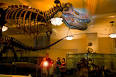 A Night at the Museum