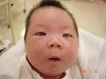 肛門膣前庭瘻孔 →膣と肛門の間
