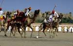 Camel polo – Elephant polo – Horse polo
