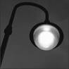Elisabeth's Barrenness and Ours - Mark Steyn - National Review Online