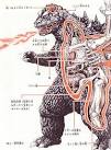 Kaiju anatomical drawings ~ Pink Tentacle