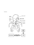 Figure 3-1. Fresh water <b>drowning</b>/<b>near drowning</b>.
