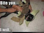 external image images?q=tbn:ANd9GcS6MwpcR1CYb0SwF_1D6pfOnJyQLjTMCby6MdGt7Z6UsRQmZhHFNC4x5IUGNA