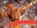 Hulkamania 2009! | Artistic Things