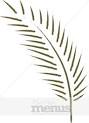 Palm Leaf Clipart Caribbean Clipart