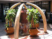 Benoni, Gauteng - Wikipedia, the free encyclopedia