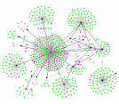 their own social network,