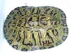 Henry's Webiocosm Blog: Friday Herplogging - Red-eared Slider, <em ...