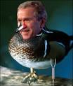 lame-duck-bush11