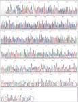 Gene Link