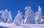 Snow - Wikipedia, the free encyclopedia