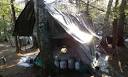 The Maine hermit survival guide: steal, don't forage | Life and ...