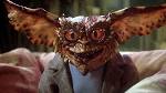 Gremlins 2: The New Batch' Finally Coming to Blu-ray | | Bloody ...