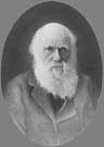 http://www.charles-darwin.com/charles-darwin.jpg