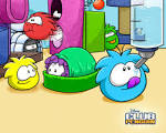 CLUB PENGUIN WallPapers « CLUB PENGUIN Pro Cheats