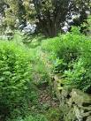 The Ha-Ha wall at Coate farmhouse featured in both ''Wood Magic'' and - via Daymix
