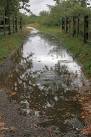 Suffering from the effects of the remains of tropical storm Laura. - via Daymix