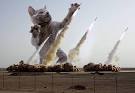 missile cat