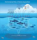 Mariculture - Wikipedia, the free encyclopedia