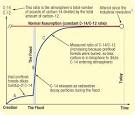 In the Beginning: Compelling Evidence for Creation and the Flood
