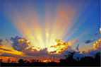 Daily Thought: A Higher Power - May 15th