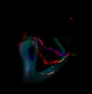 3d Animated GIF Showcase | Cruzine