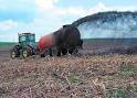 Manure