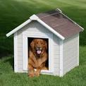 HOPE for Animals