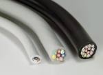 BREAKING: Internet broken, North America-Asia cables damaged | ZDNet